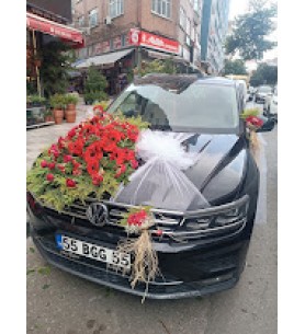 gelin arabası  