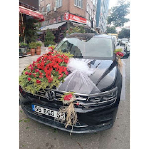 gelin arabası  